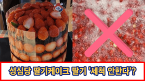성심당-딸기-케이크-세척-안함